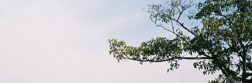 ranmkro's profile banner image