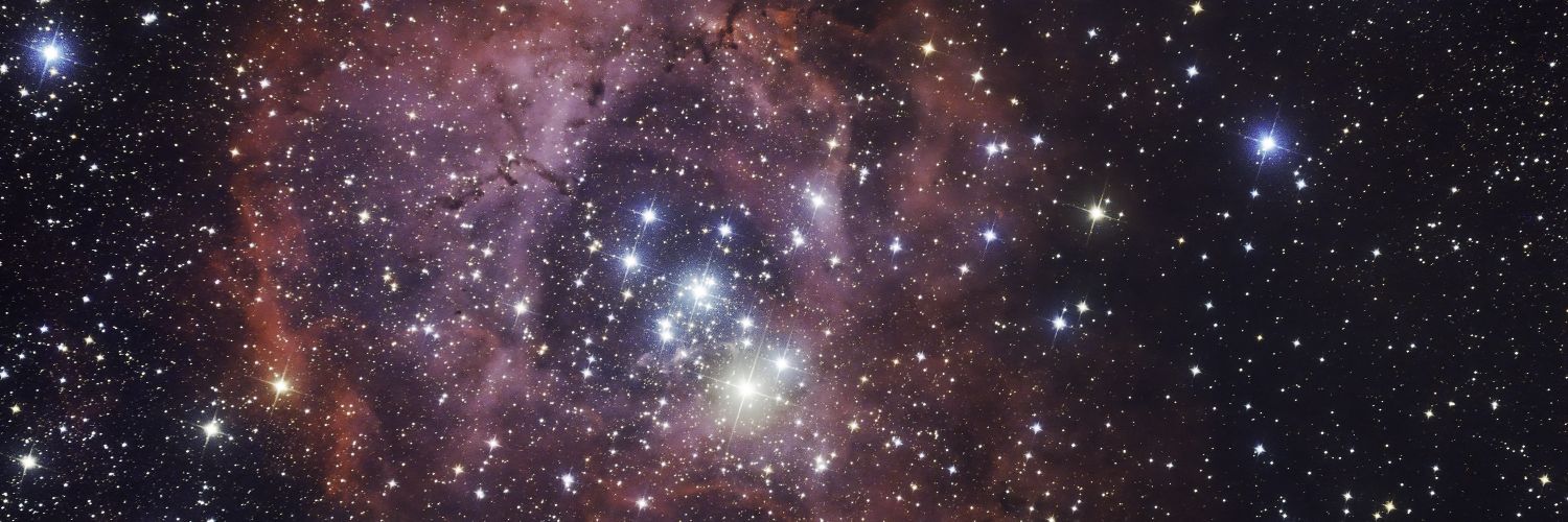 一只大星星✨🍽️🍺史昂 banner
