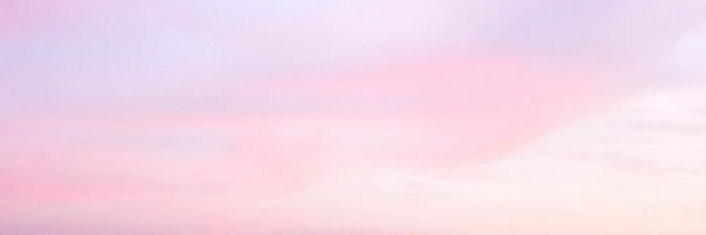 softcevans's profile banner image