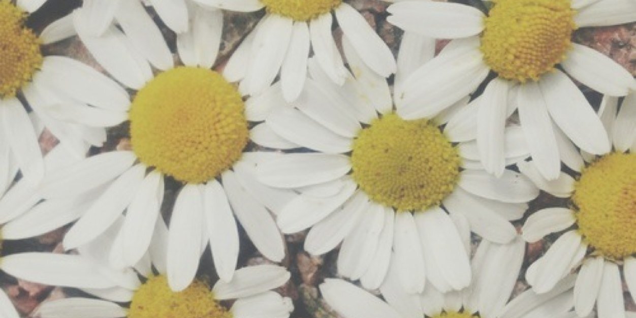 Victorialynnnn_'s profile banner image