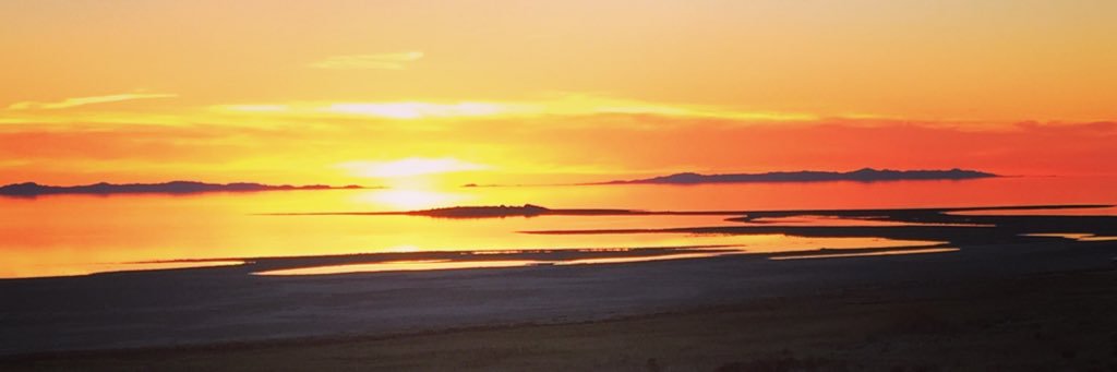 Madelyne Van Hoff banner