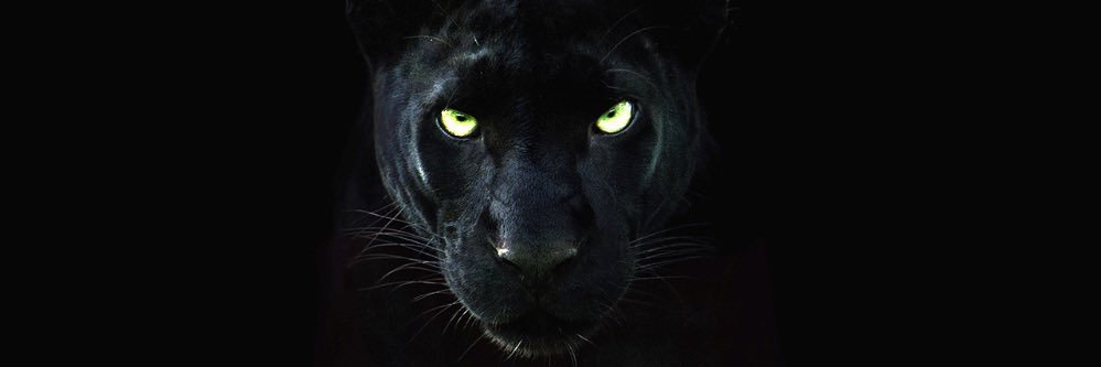 Gseus_'s profile banner image