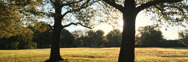 mapplin01 Profile Banner