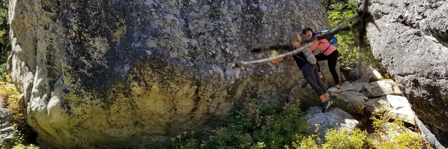 katie_katface's profile banner image