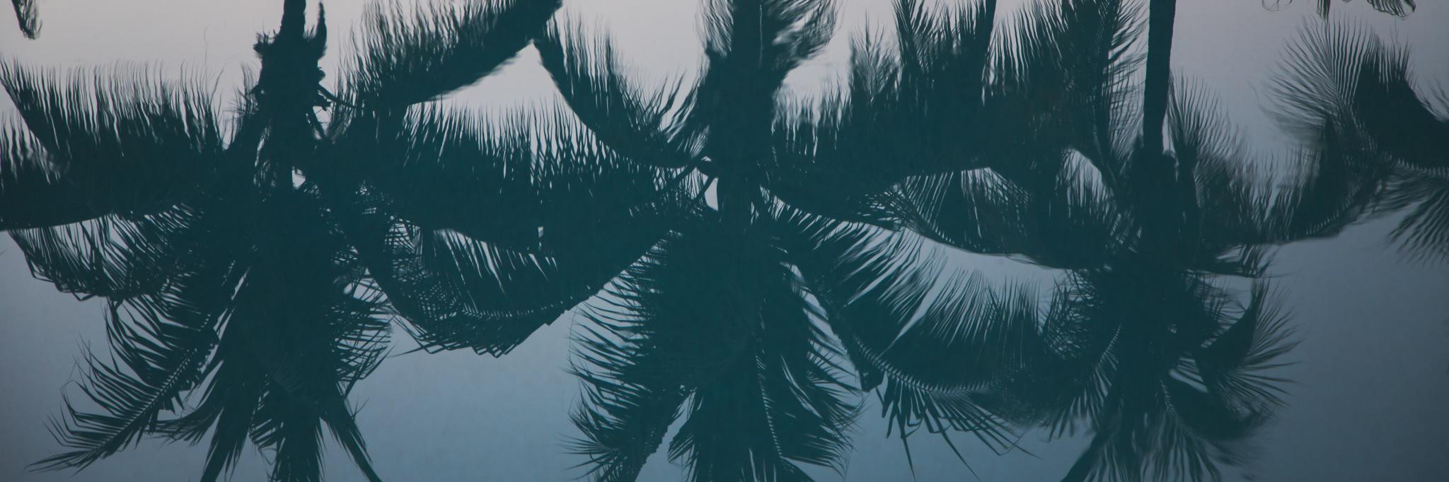 katmasyk's profile banner image