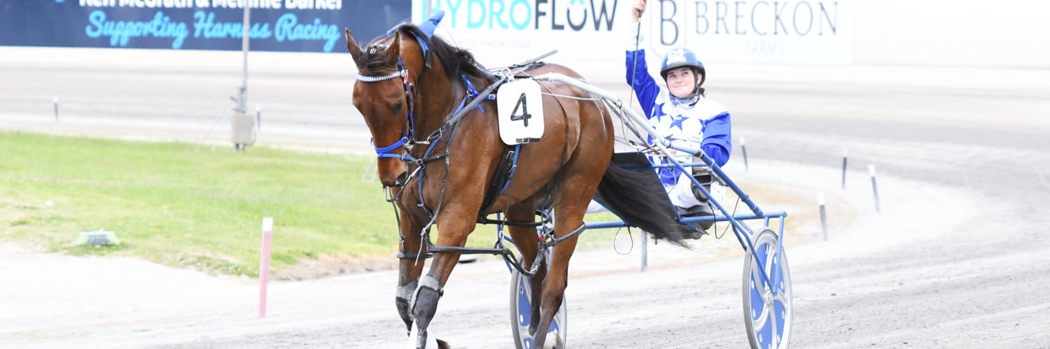 Alicia Harrison banner