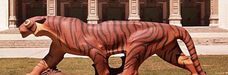 Chaffeytigers's profile banner image