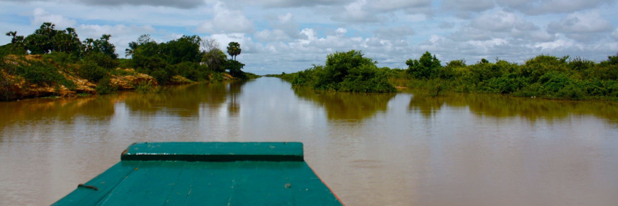 MariaVillaTinto's profile banner image