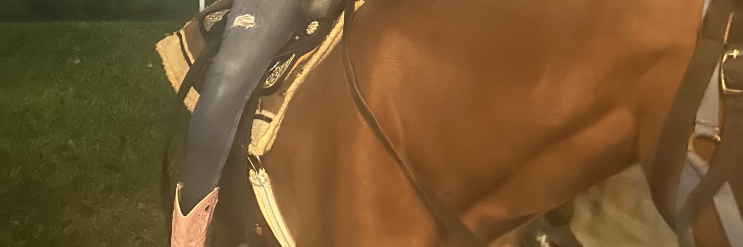 shawtys0lit's profile banner image