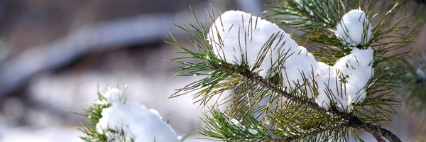 CALPELRA Profile Banner