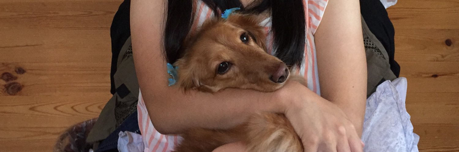sanlical's profile banner image