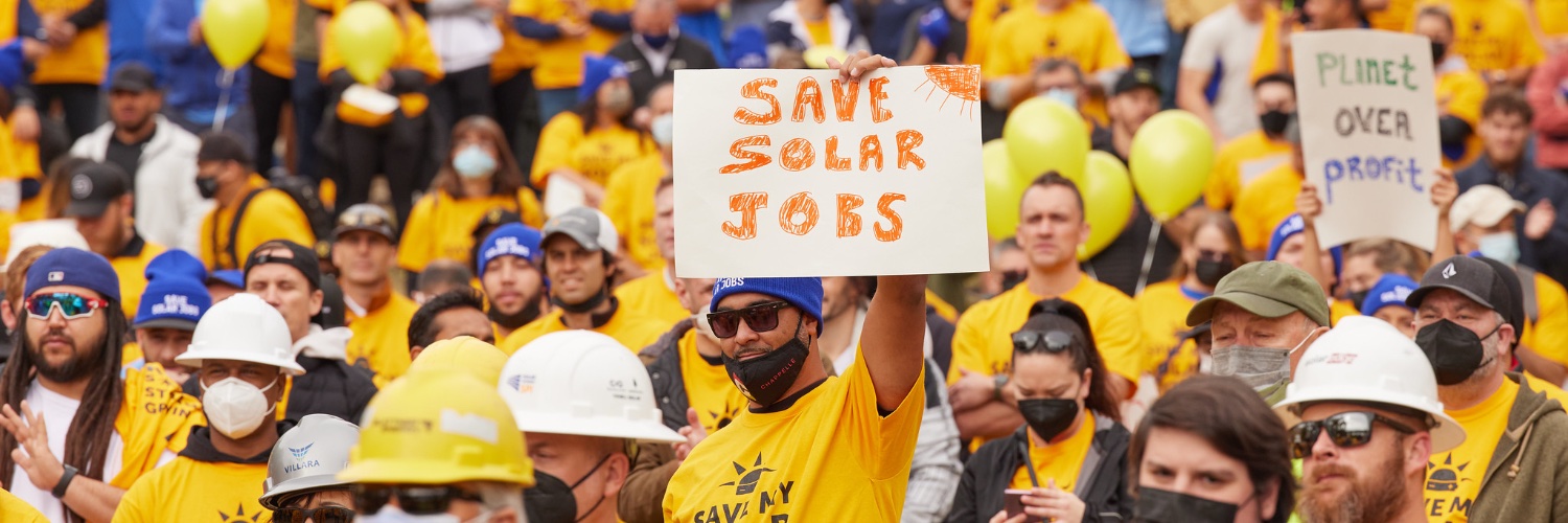 Bernadette Del Chiaro banner