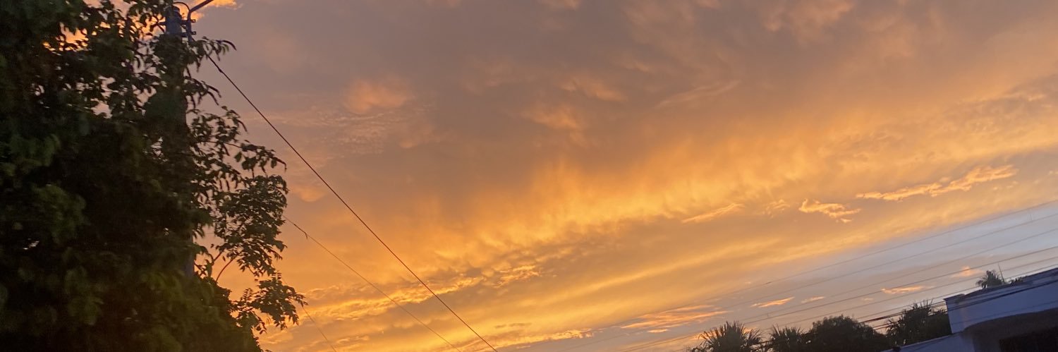carolopezbertel's profile banner image