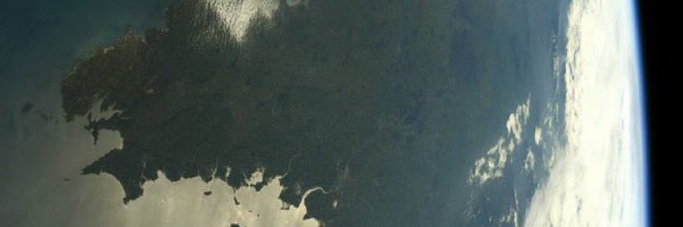 Damien Raynal banner