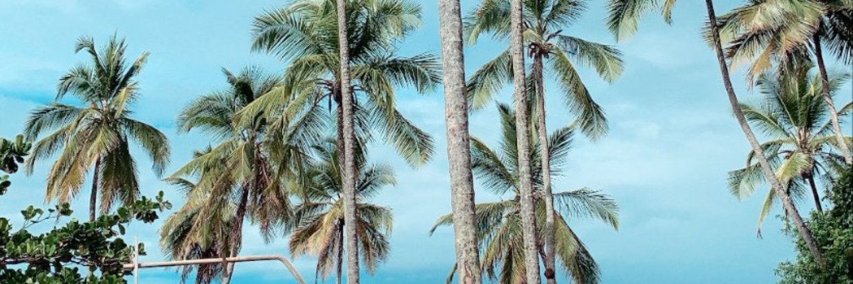 _anafeer's profile banner image