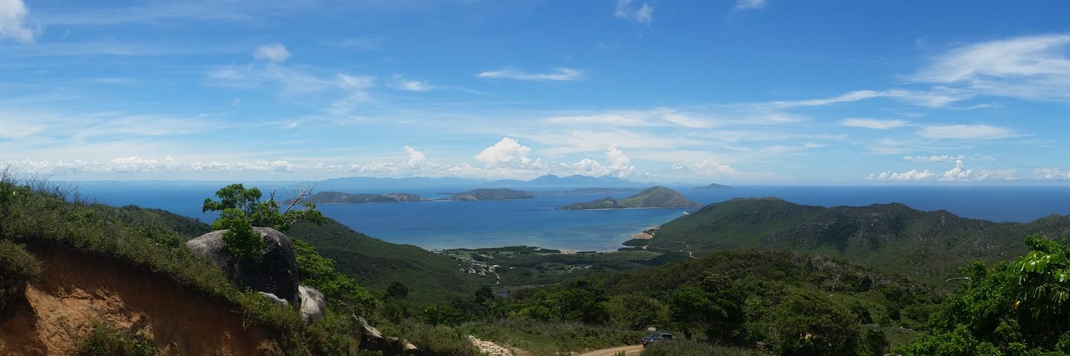 Danielle Dries banner