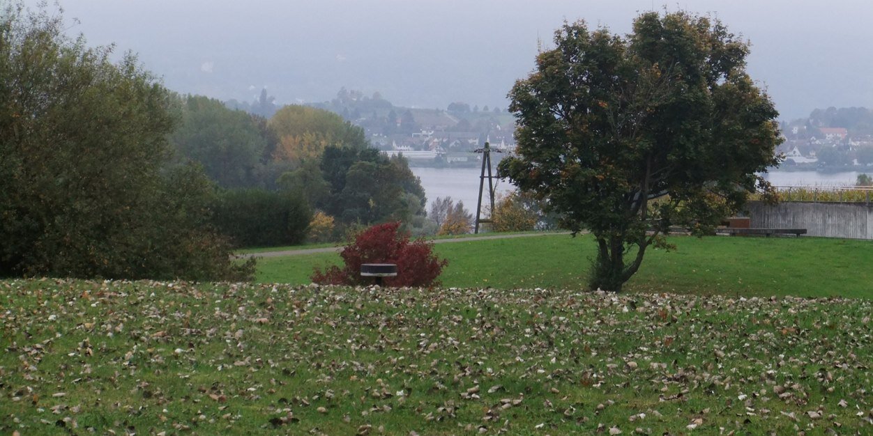 ثامر نايف الهذال banner