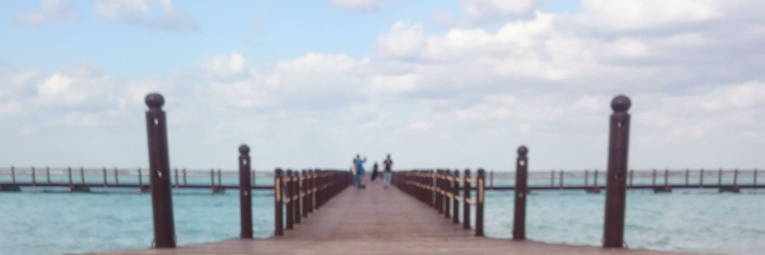 sallleh0's profile banner image