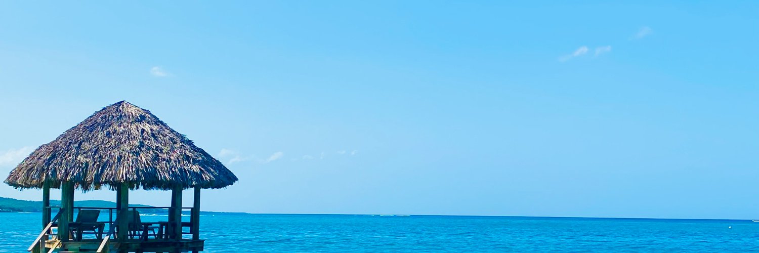 brynnaleece21's profile banner image