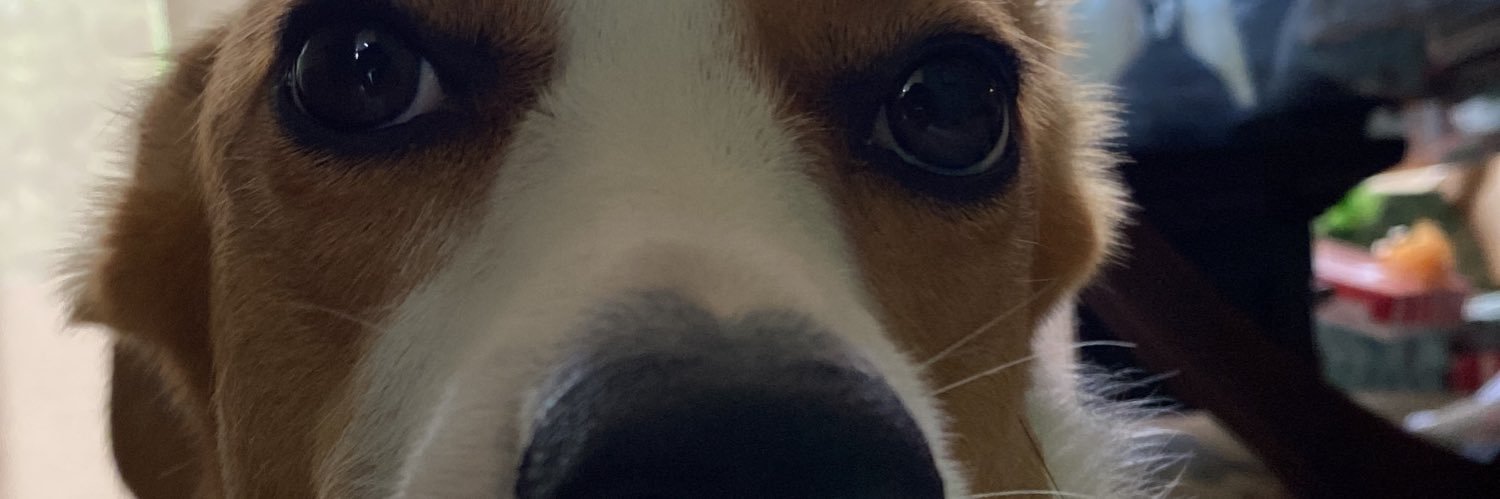 lupuloco banner
