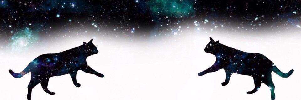 abcksi's profile banner image
