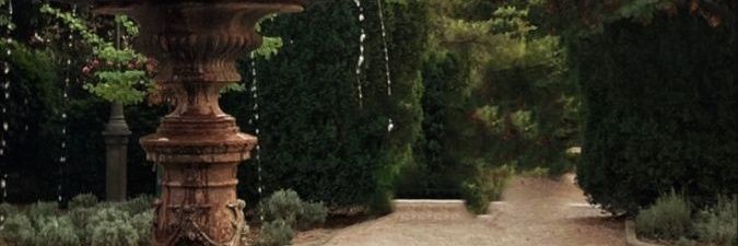 dark_papillon's profile banner image