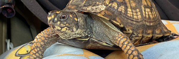 freddavelynn Profile Banner