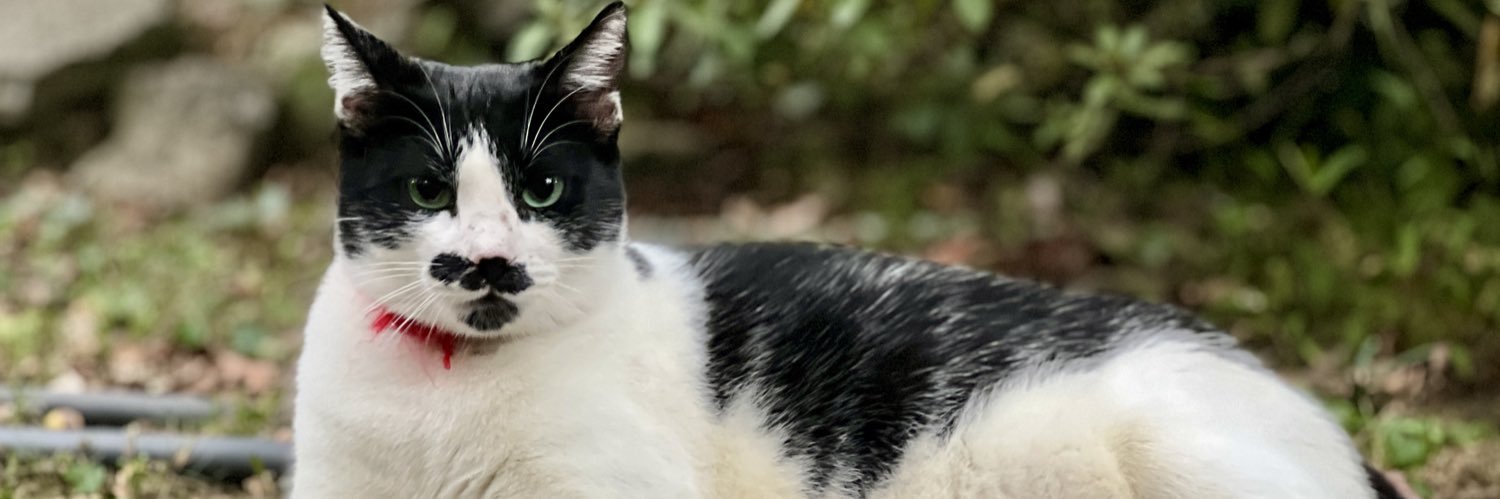 freddavelynn's profile banner image
