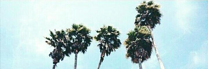 Rodrey_Go's profile banner image