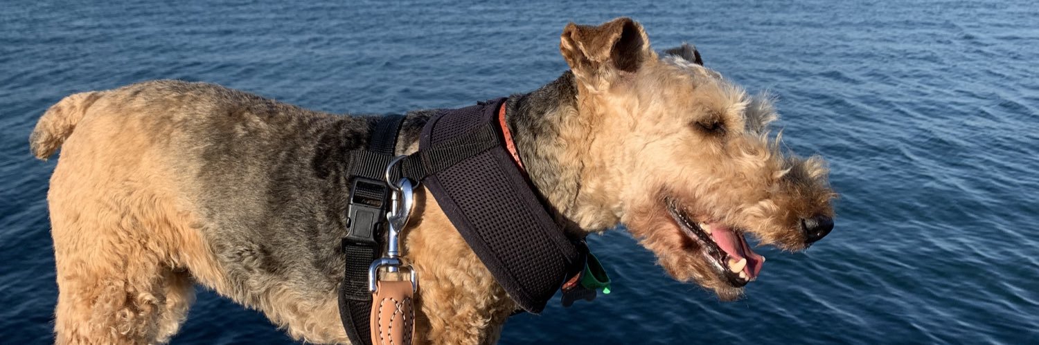 Simon J Draper banner