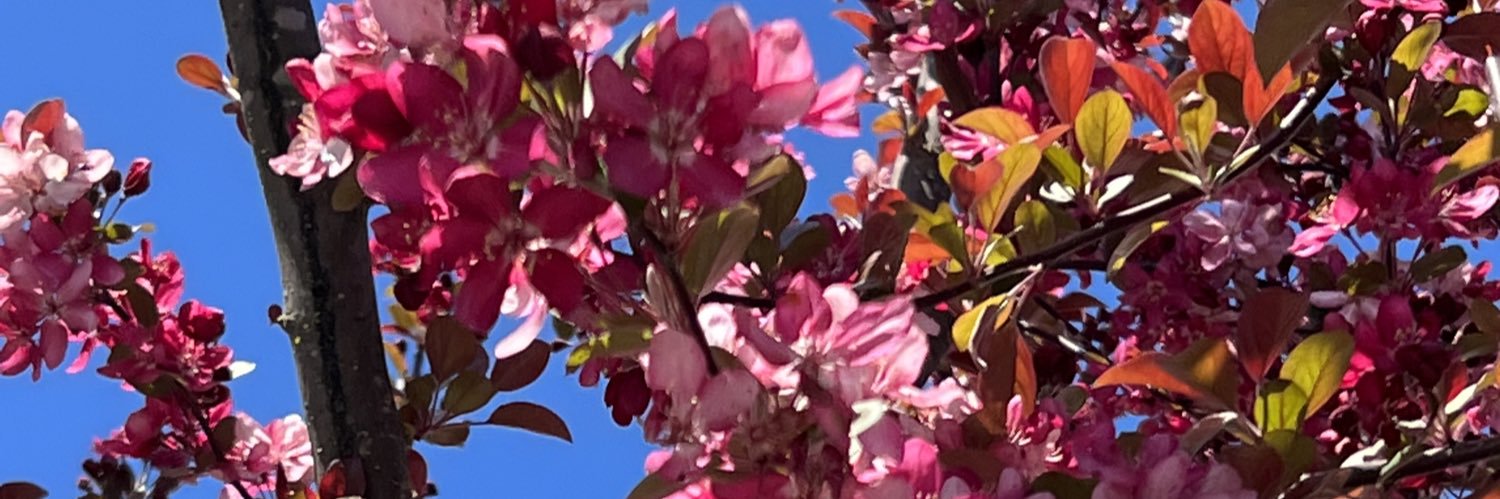 energygemstore's profile banner image