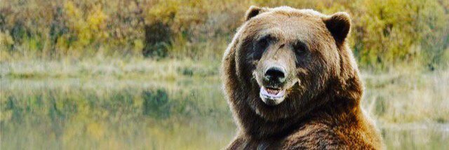 Stephen Johns banner