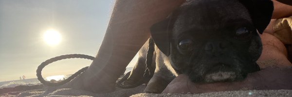 joshfolan Profile Banner