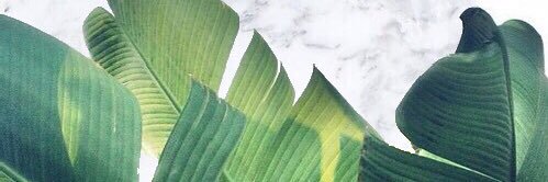 Minahisms's profile banner image