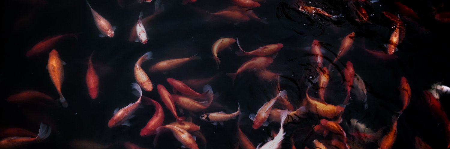 eclecticsuk's profile banner image