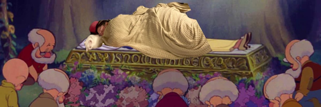 megexutor's profile banner image
