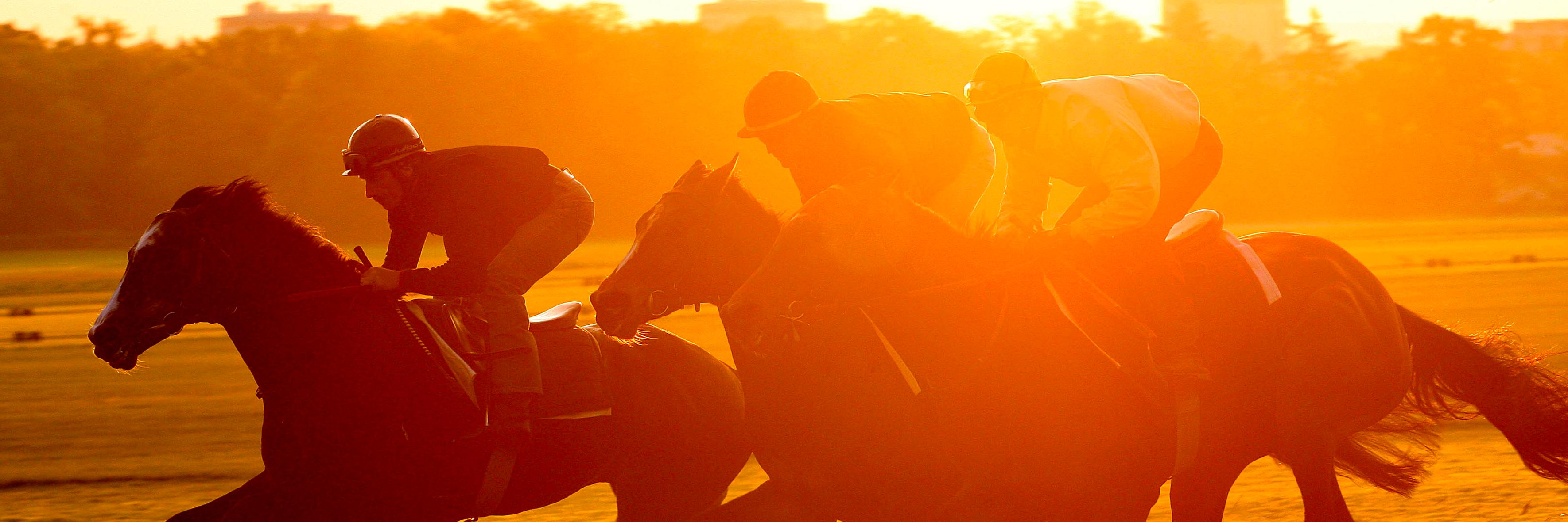europeracing's profile banner image