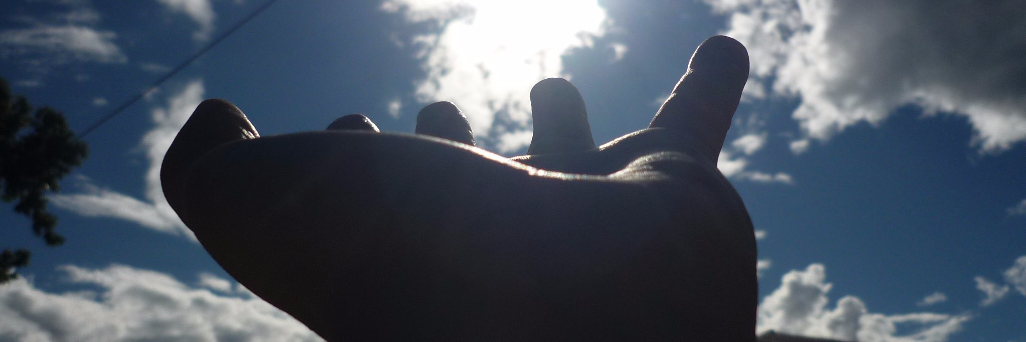 Freddylopez8's profile banner image