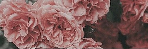 meleshina_'s profile banner image
