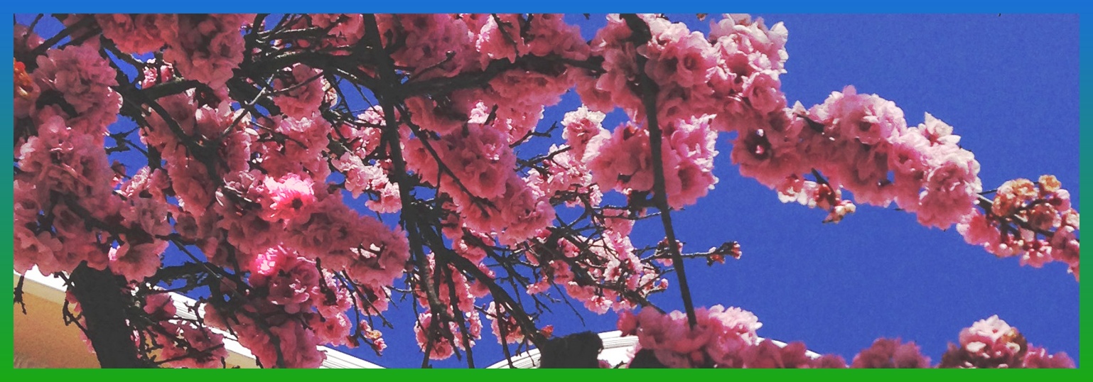 anasofia59's profile banner image