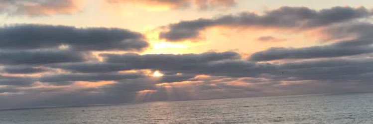 GraceWithKim's profile banner image