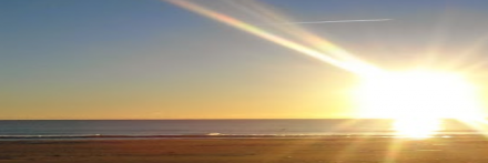 Anna Gerke banner
