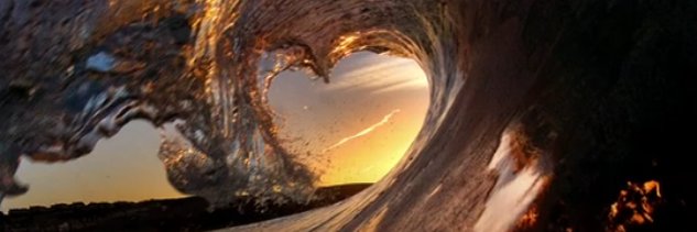 stephen wheeler banner