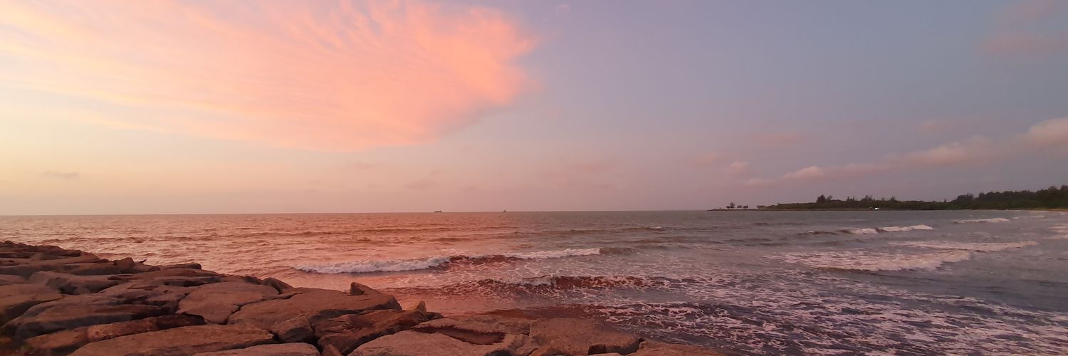 rowenaugustine's profile banner image