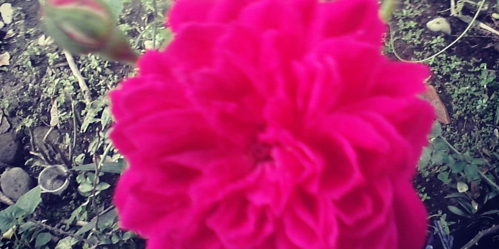 nitafabriana's profile banner image