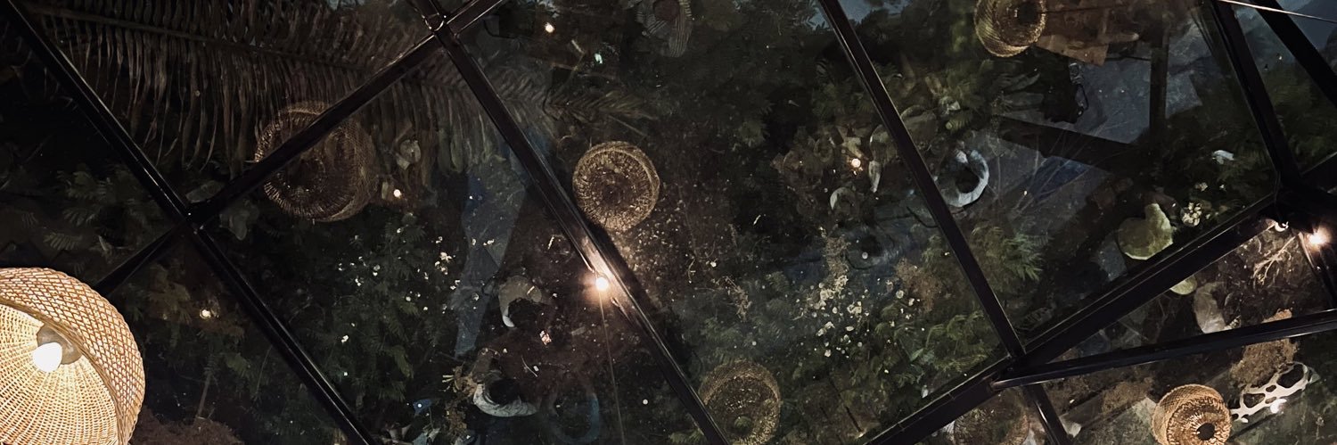 AuroDuron's profile banner image
