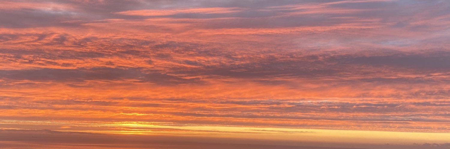 Dr Marlize De Vivo banner