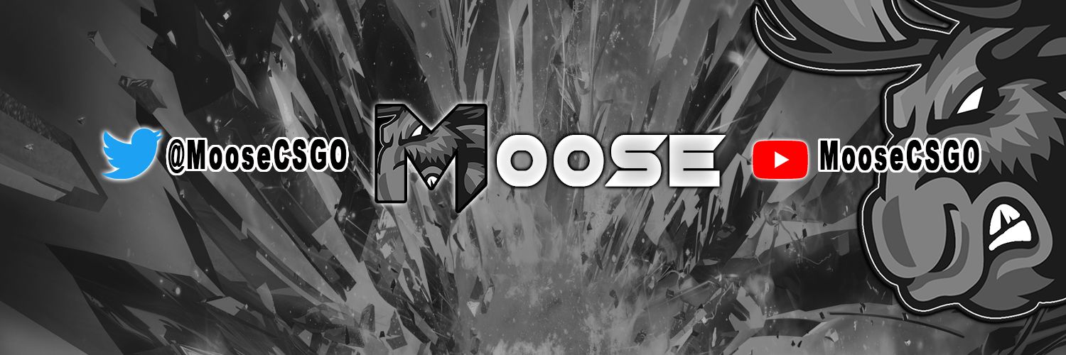 MooseCSGO's profile banner image