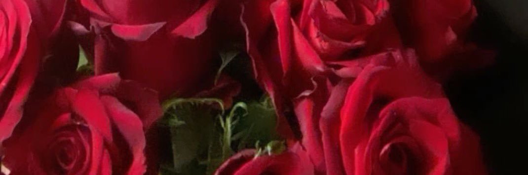 qilil5___'s profile banner image