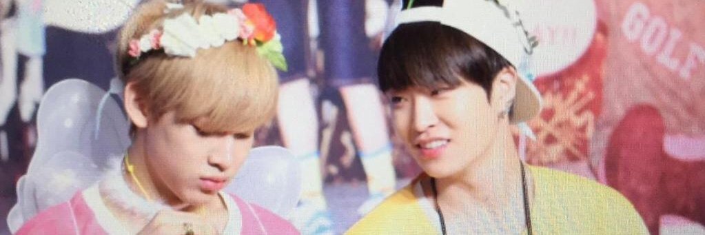 PA~LOY ||| banner